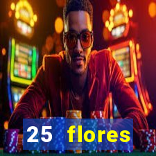 25 flores silvestres desbravadores